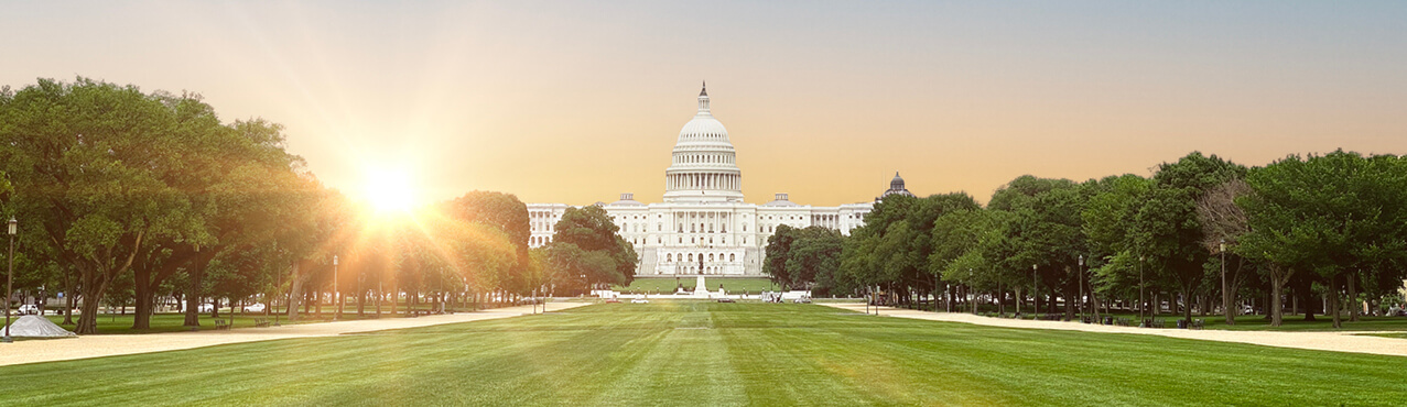 DC background with trees
